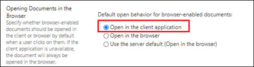 Opening Document in Client Application