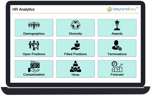 HR Dashboards to maximize your workforce