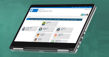 Why is Organizational chart software important for modern enterprises?