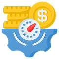 License and Cost Optimization