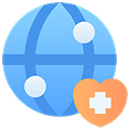 Healthcare Networks