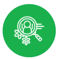 Analytics Microsoft Clarity
