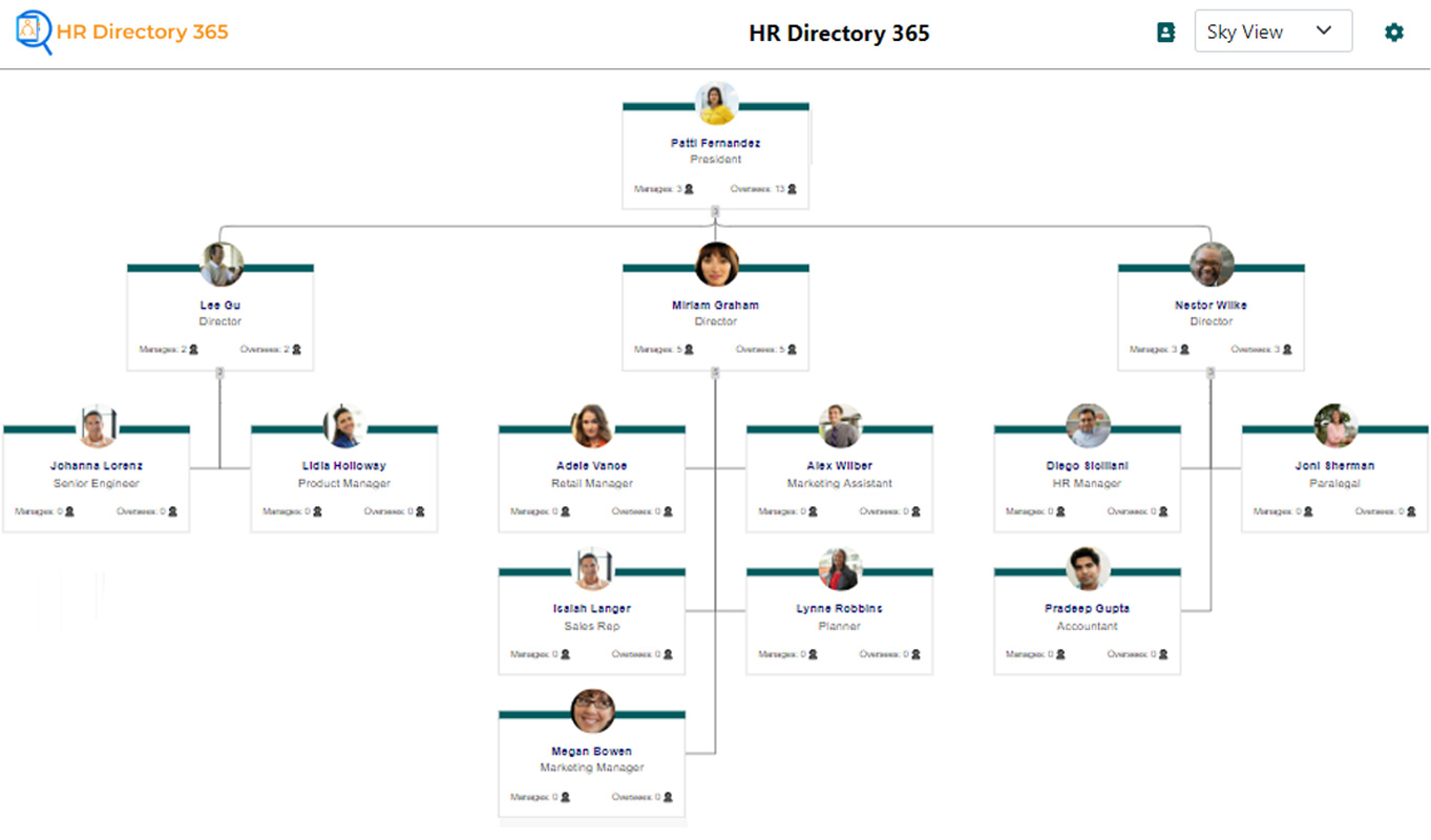 Organization Chart Flowchart 3
