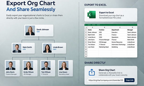 Transform Your Company Structure