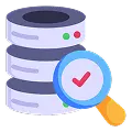 Accuracy & Data Quality 